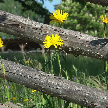 Almenlandhof * Fladnitz an der Teichalm