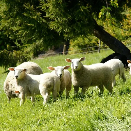 Almenlandhof * Fladnitz an der Teichalm