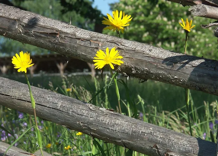 Almenlandhof * Fladnitz an der Teichalm