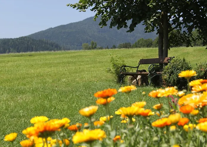 Almenlandhof Lantgård Fladnitz an der Teichalm