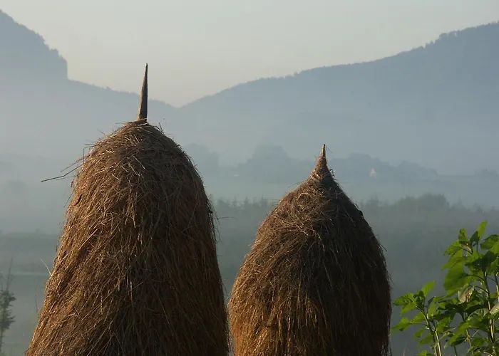 Séjour à la ferme Almenlandhof *