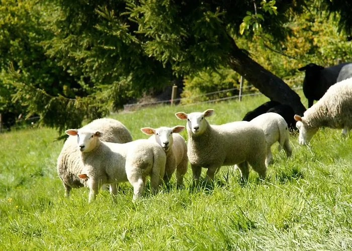 Almenlandhof * Fladnitz an der Teichalm