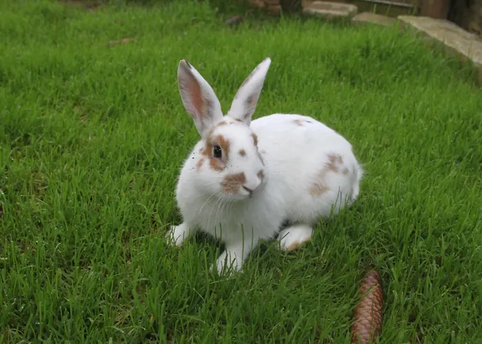 Almenlandhof Séjour à la ferme