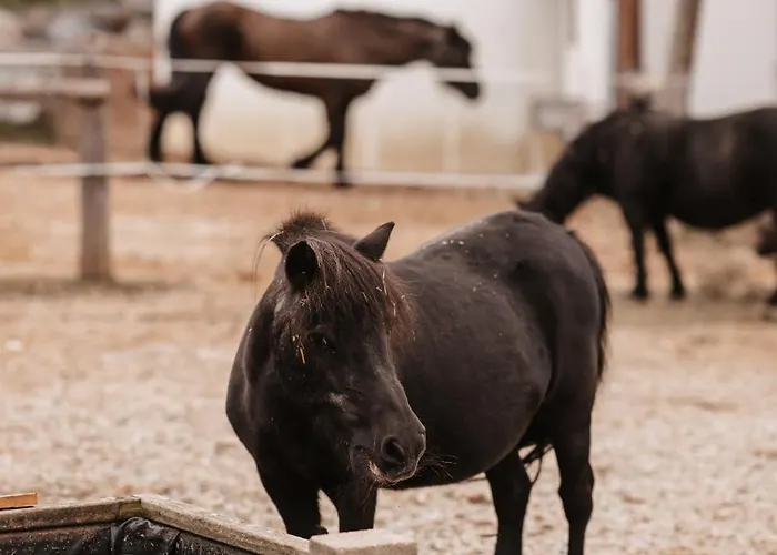 Almenlandhof * Fladnitz an der Teichalm